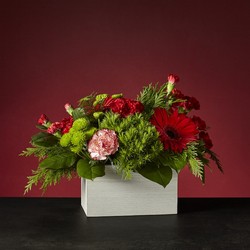The FTD Holly Jolly Bouquet from Parkway Florist in Pittsburgh PA